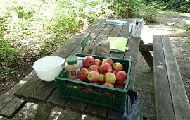 Donderdag Compleet