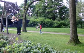 Woensdag Compleet