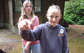 Maandag Compleet